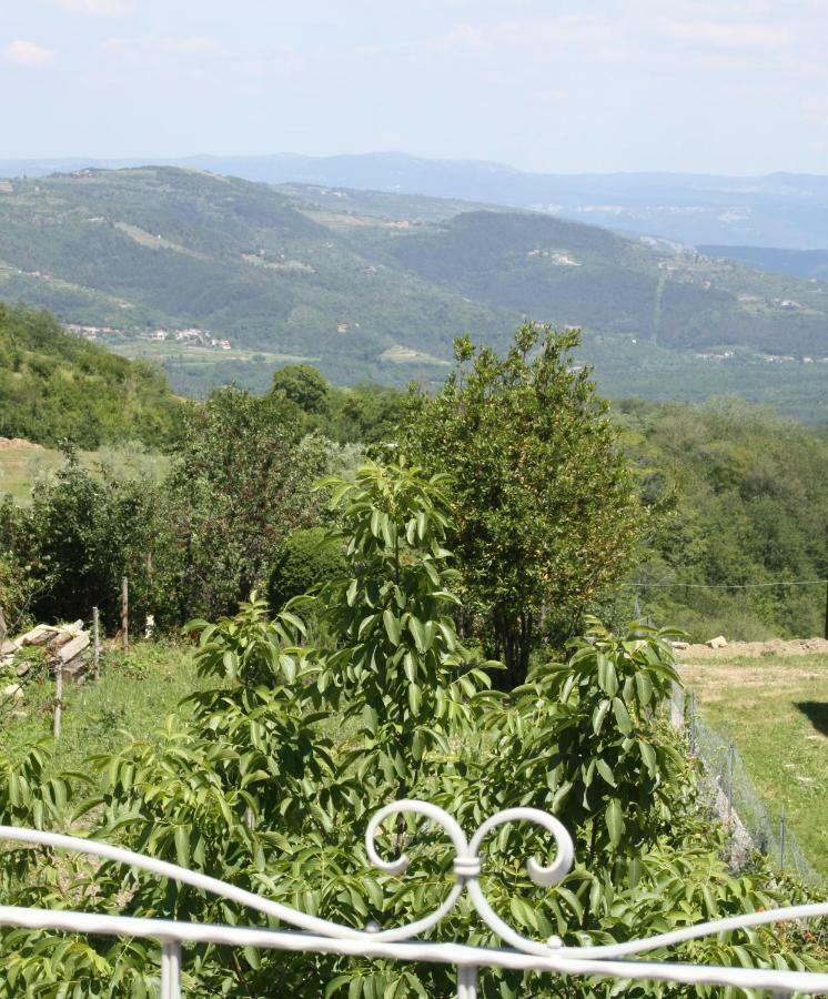 Willa Terra Mirna Vižinada Zewnętrze zdjęcie